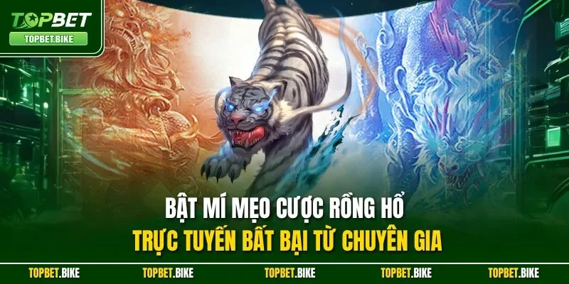 Bật mí mẹo cược rồng hổ trực tuyến bất bại từ chuyên gia