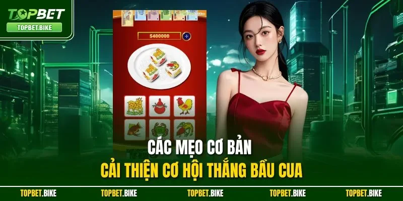 Các mẹo cơ bản cải thiện cơ hội thắng bầu cua
