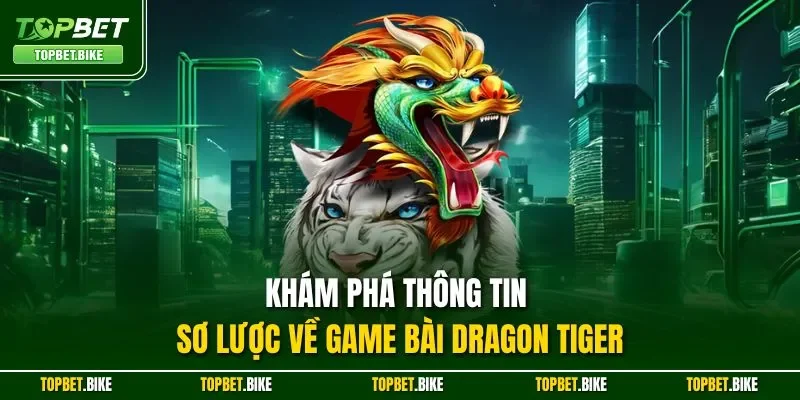Khám phá thông tin sơ lược về game bài Dragon Tiger