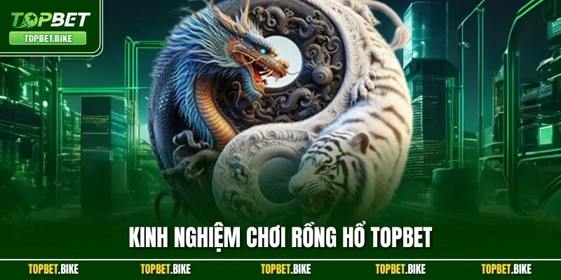Kinh Nghiệm Chơi Rồng Hổ Topbet| Tiết Lộ Mẹo Hay Từ Cao Thủ