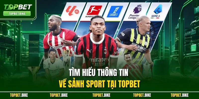 Tìm hiểu thông tin về sảnh Sport tại Topbet
